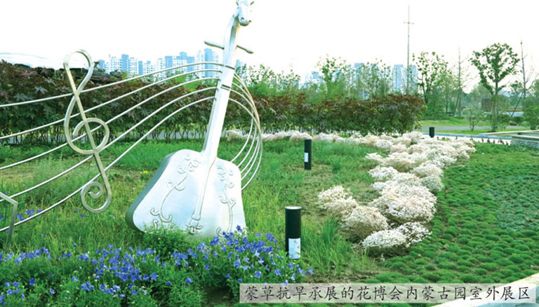 极悦 86373