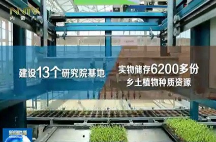 极悦 01f4b