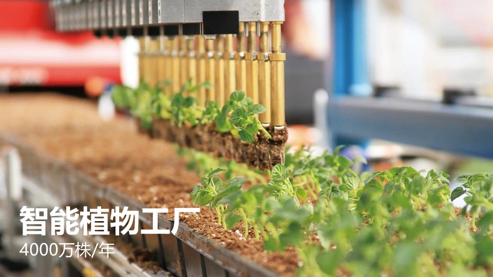 极悦 2760e