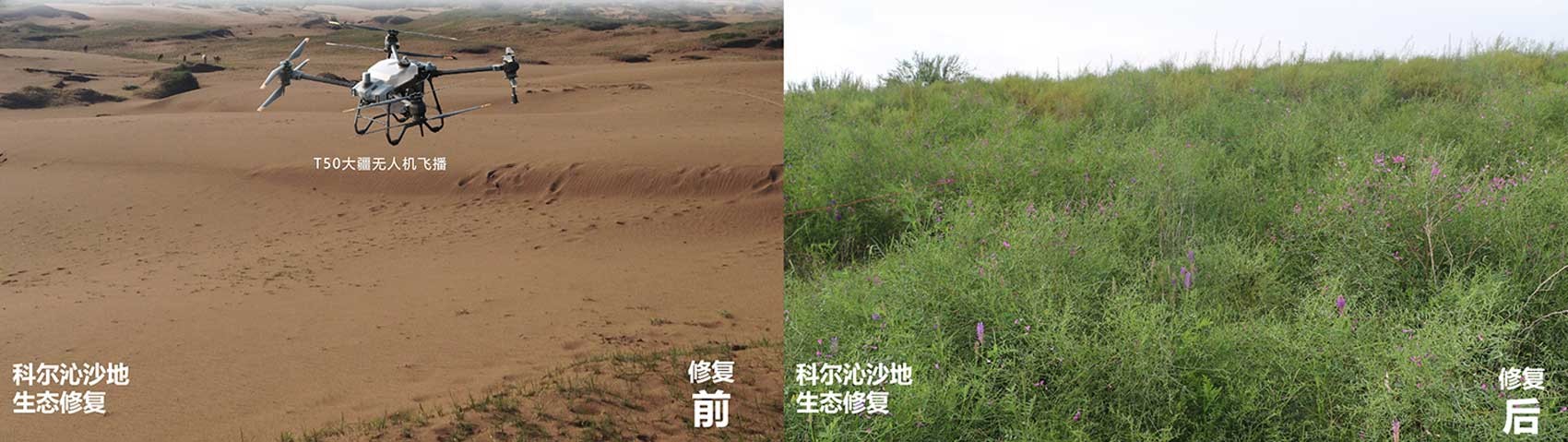 极悦 62fc1