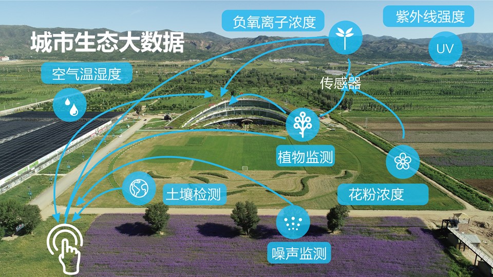 极悦 83d40