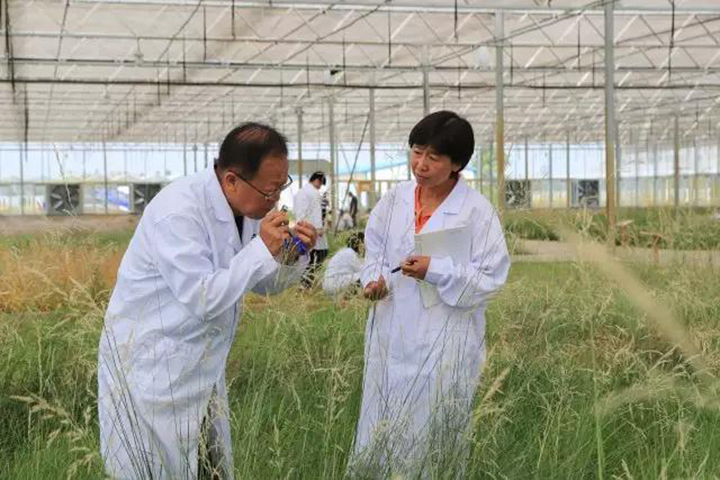 极悦官方网站图片