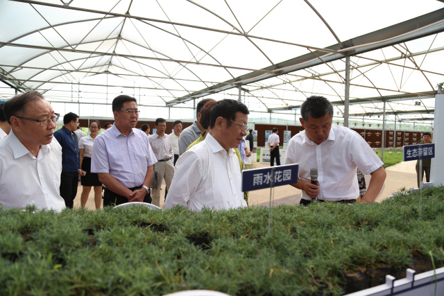 极悦 df148