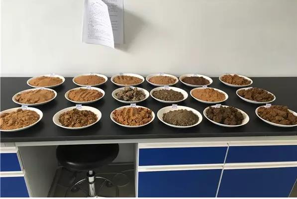 极悦官方网站图片