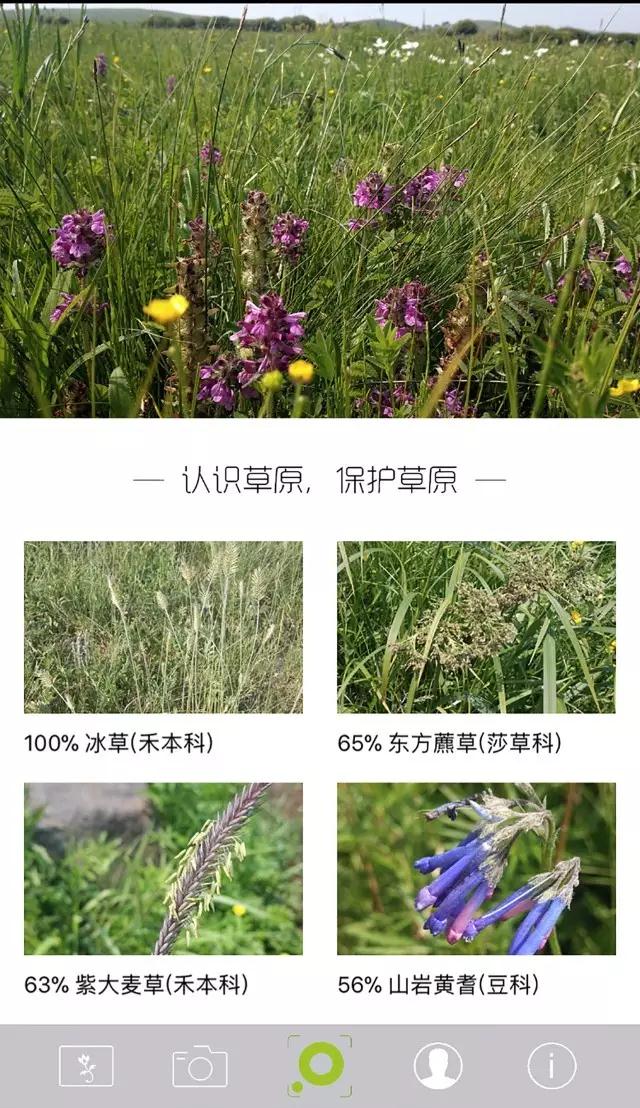 极悦官方网站图片