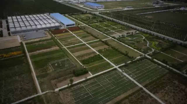 极悦官方网站图片