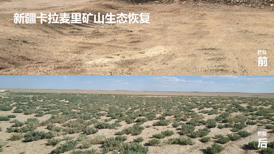 极悦 d0500