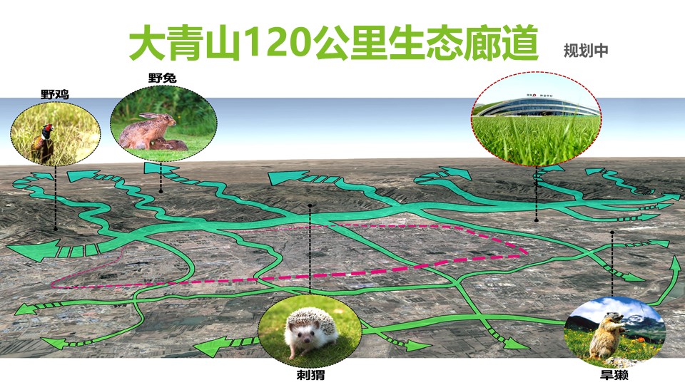 极悦 0b576