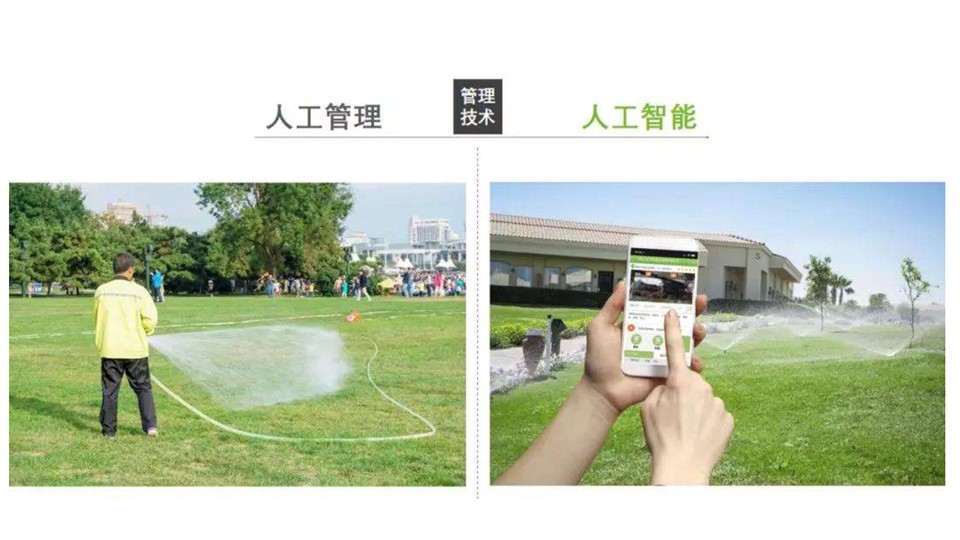 极悦 2aa8c
