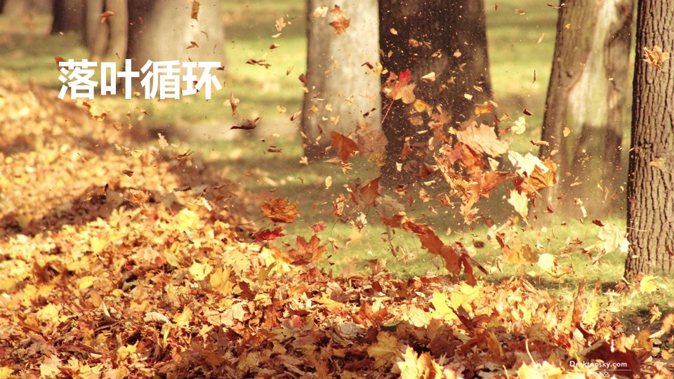 极悦 607e5