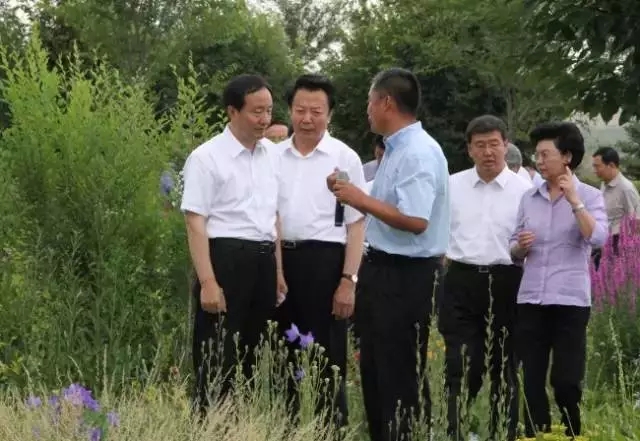 极悦官方网站图片