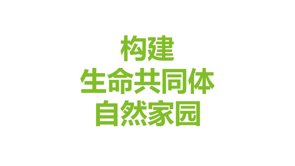 极悦 080e2