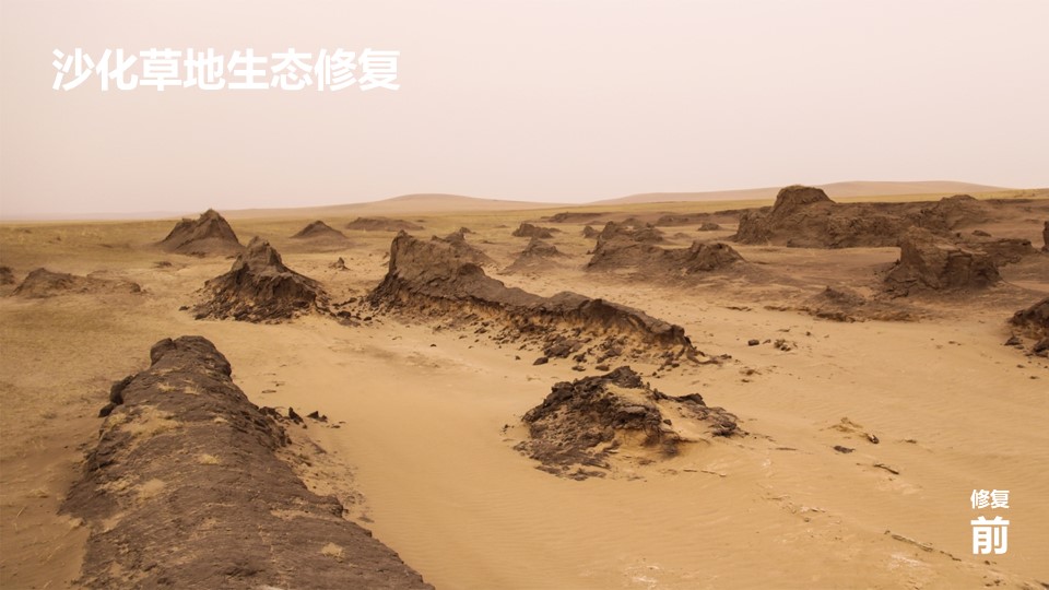 极悦 3ab91