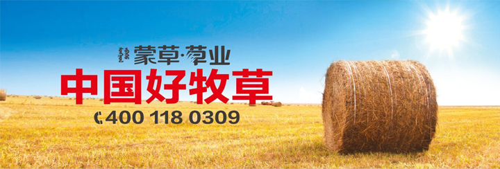 极悦官方网站图片