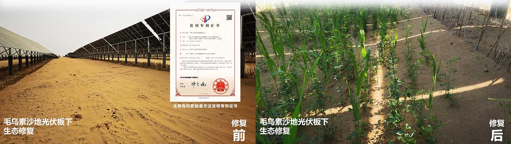 极悦 162c2
