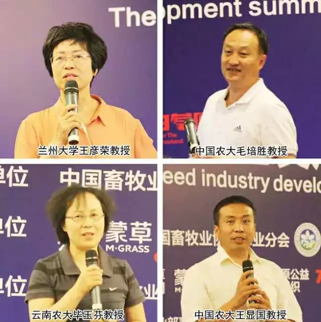 极悦官方网站图片