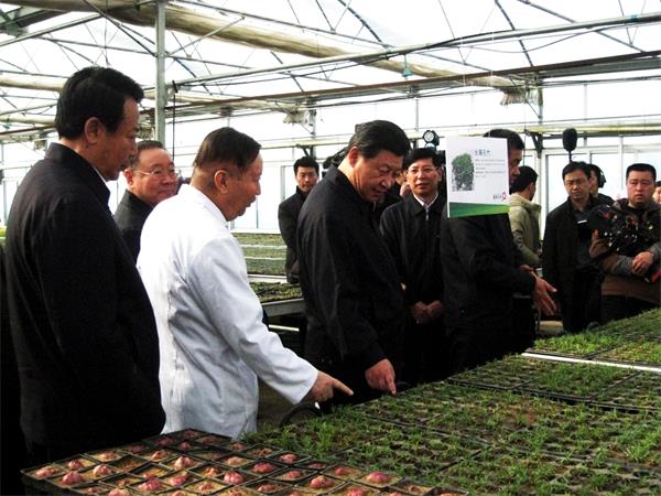极悦官方网站图片