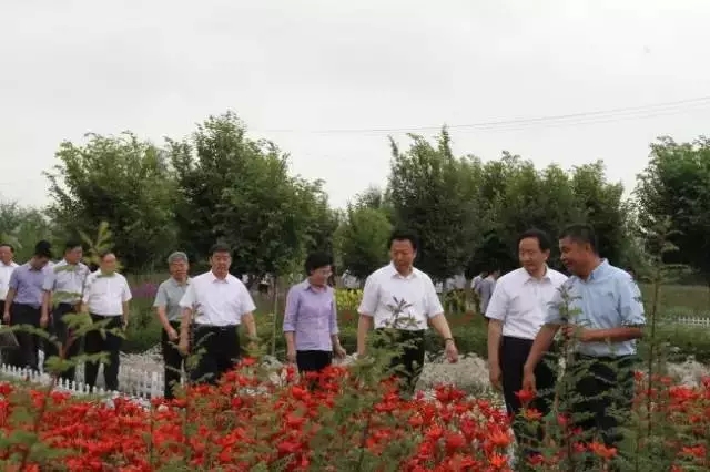 极悦官方网站图片