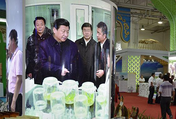 极悦官方网站图片