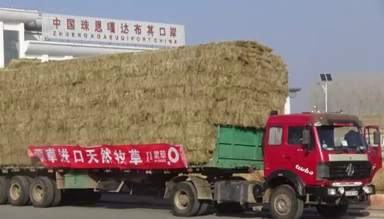 极悦 3279e