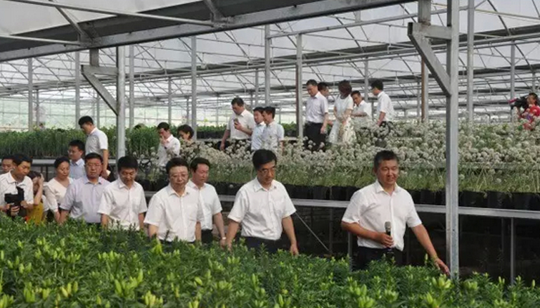 极悦 f14f3