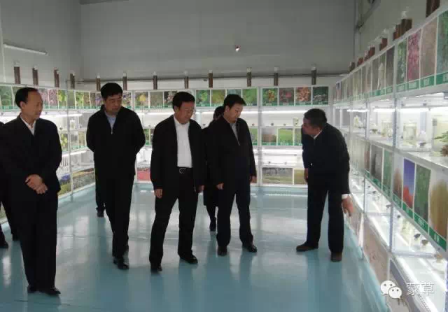 极悦官方网站图片