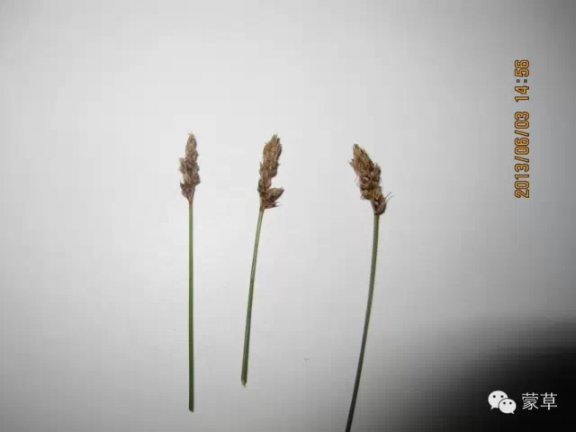 极悦官方网站图片