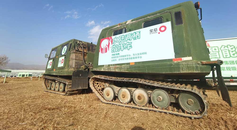极悦 d1052