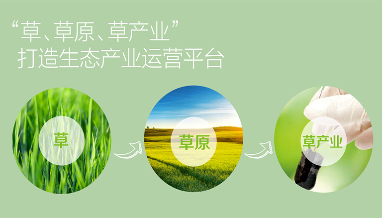 极悦 7c6b5