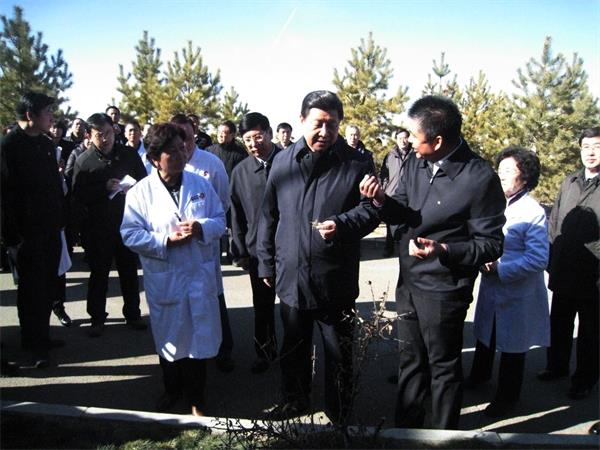 极悦官方网站图片