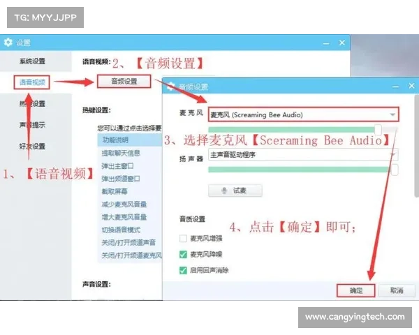 MorphVox Pro语音变换技巧揭秘指南 MorphVox Pro语音变换技巧揭秘指南