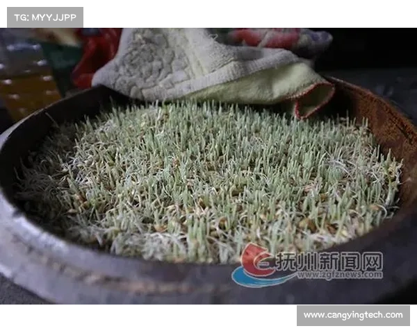 灌香糖背后的五大文化价值探索与传统工艺的传承 灌香糖背后的五大文化价值探索与传统工艺的传承