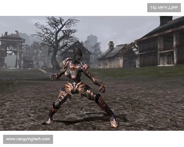 刺客职业最佳装备推荐与生存技巧详解 提升战斗力与生存能力的关键要素