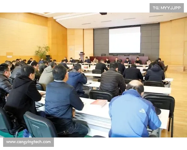 如何全面分析法宝属性及其在实际应用中的技巧与策略