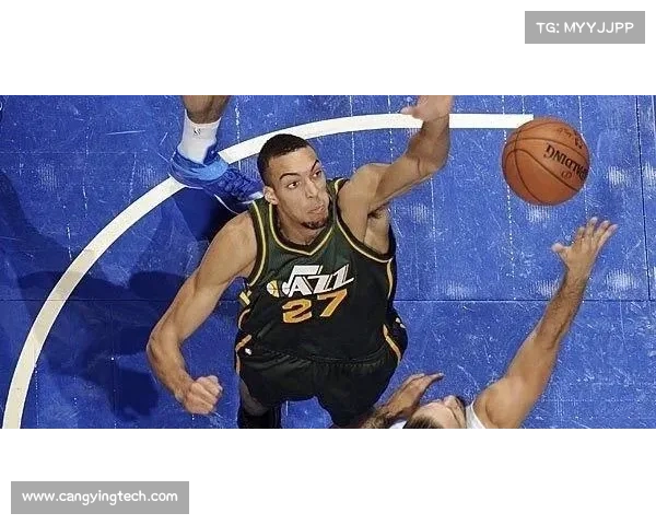 为什么拉梅尔鲍尔被称为三球背后的原因与故事揭秘