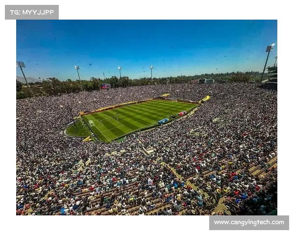 揭开2021欧冠杯足球场背后隐秘与传奇魅力的神秘面纱之旅