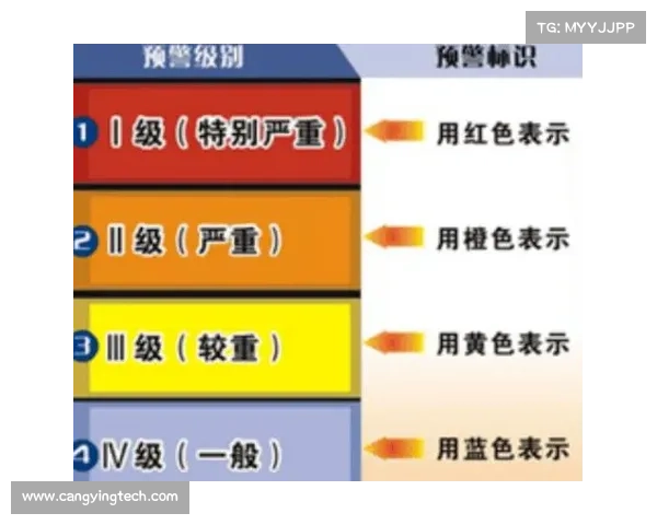 如何有效应对裁判错漏判事件及其影响的综合分析与应对策略