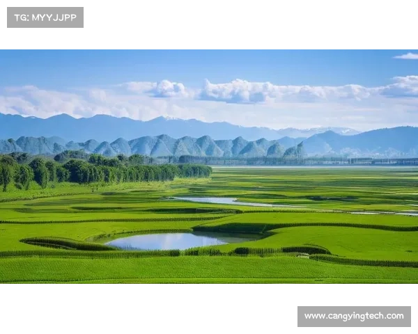 安赛龙展示丹麦自然风光摄影作品展 引领观众领略大自然之美