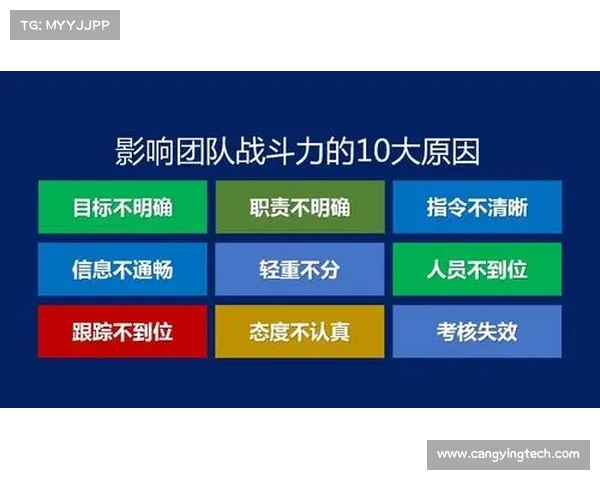 张德培团队成功背后的战略布局与团队协作解析